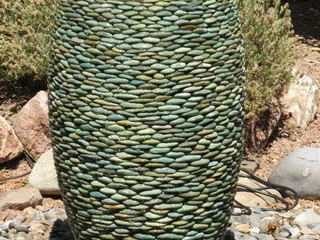 Tucson Cactus & Koi