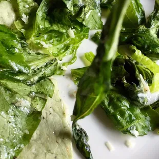 WILTED LETTUCE: my wrap had that tinny sour flavor of  turned lettuce. At $9.67 I'd expect better than Subway (next door).