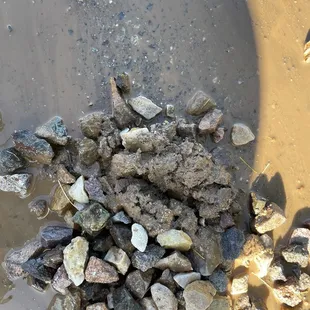 More dirt