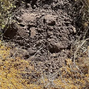 This is one of two loads of dirt that was from the rock.  Even the guys who were helping me move it said it was too much.