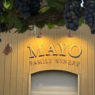 Great family winery in Glen Ellen