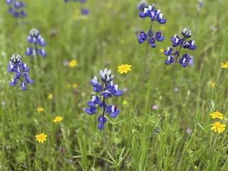 Skyline Wilderness Park