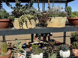 Four Arrows Garden