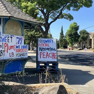 Love those hand made signs!