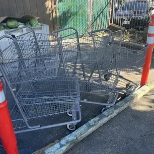 Shopping Carts