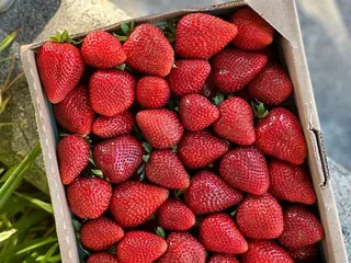 Downtown San Leandro Farmers' Market