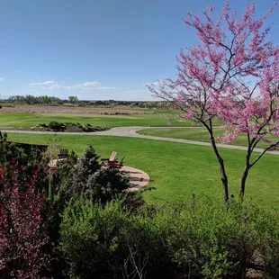 a view of the golf course