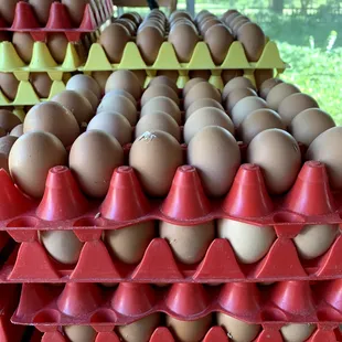 Delicious pastured eggs are always in stock.