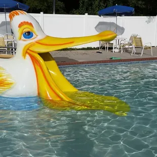 Little more pool time!