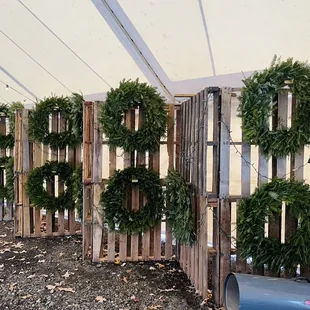 Fresh wreaths for sale