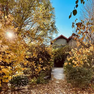 Fall in full orange &amp; yellow beauty at the winery