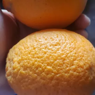 One Sanguinelli and the other is a Tarocco.