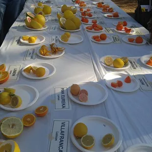 Citrus Clinic.   Wow!!!! Look at all those varieties. People, start giving your citrus some love.