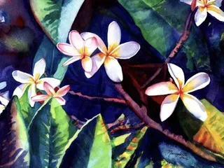 Apache Landscape Center