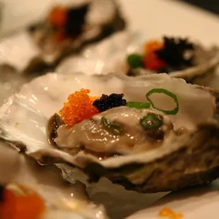 special Oyster!