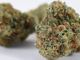 Sacred Garden Las Cruces