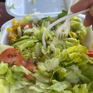 Ok salad. Meat was good. Gyro was ok.