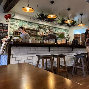 Creative interior with lots of plants!