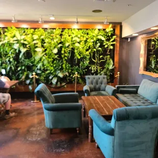 Cute decor. Loveeee the green wall!