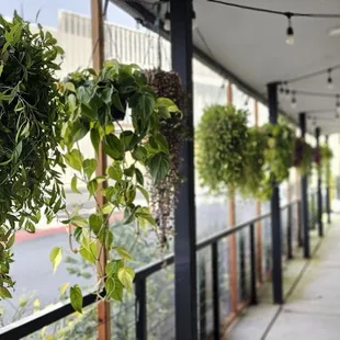 patio with plastic shielding