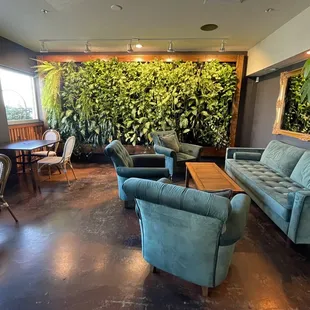 YES, the plant wall are REAL plants