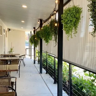 Plants make it feel so welcoming