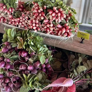 such beautiful veggies!