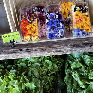 Edible flowers