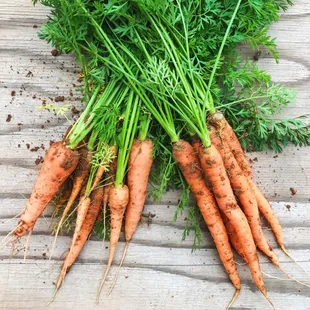 a bunch of carrots on a wooden surface