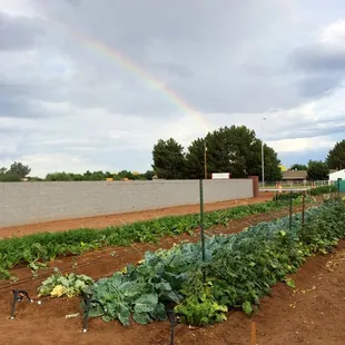 a rainbow in the sky