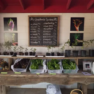 Loving watching them grow