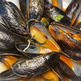 Steamed Mussels