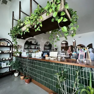 It&apos;s so cute in here!