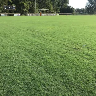 Lots of baseball fields. Lovely kids practicing. Two large football fields. Not much place for a walk. Also, not much parking available.