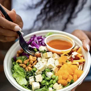 Fresh Salads to go in Tampa, FL