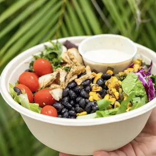 low carb foods to go in Tampa area