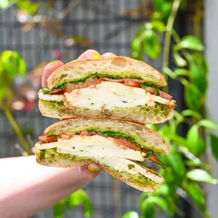 Hot Caprese Panini