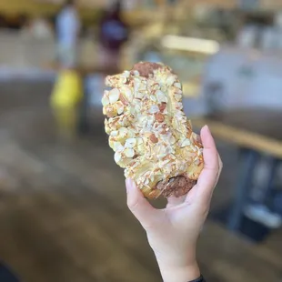 Bear Claw