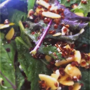 a close up view of a salad