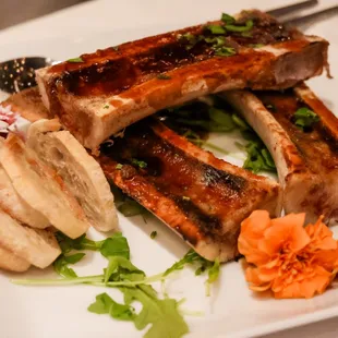 Bone Marrow