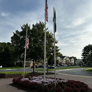 Flags in front of main building