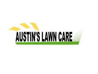 Austin's Lawn Care