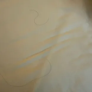 Dirty sheets! Hair under covers.