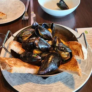 Mussels