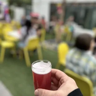 Blue berry wheat