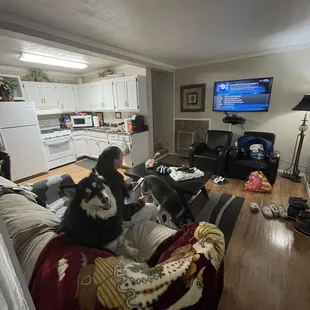 Forgive the mess-it was a long drive with 2 huskies lol