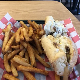 The Gregory special (think of a Philly Cheesesteak with everything) with seasoned fries YUM!