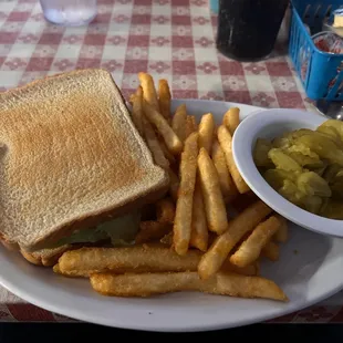 a sandwich and french fries