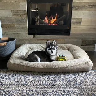 Cozy at last!