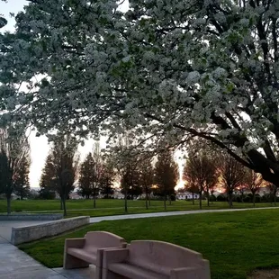 Great place for a walk! 3.17.19